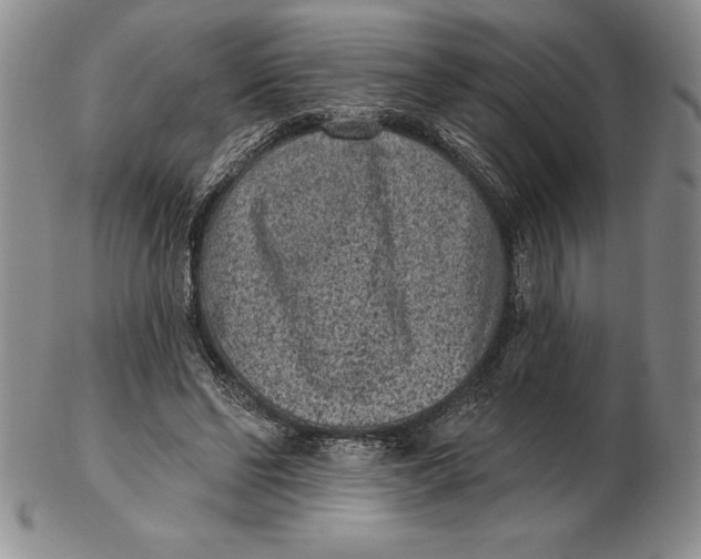 X0000102360494200808221719