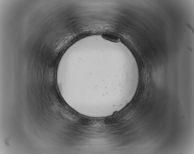 X0000102360495200808221719