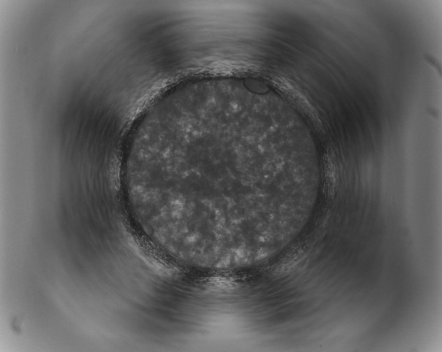 X0000102360496200808221719