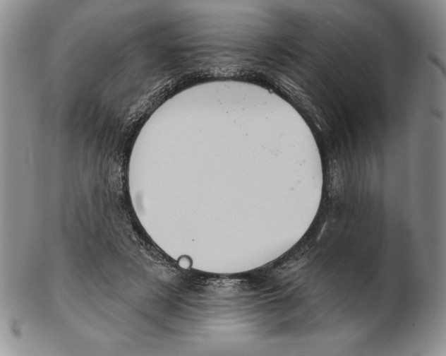 X0000102360497200808221719