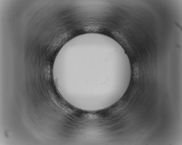 X0000102360498200808221719