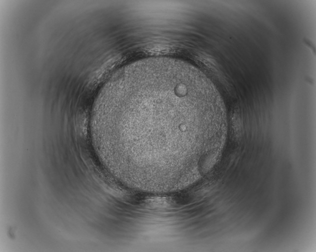 X0000102360499200808221719