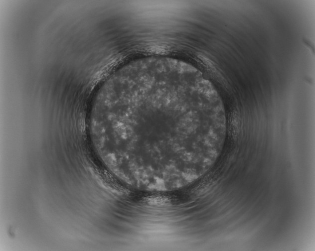 X0000102360500200808221719