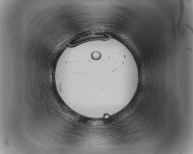 X0000102360501200808221719