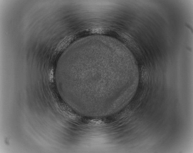 X0000102360502200808221719