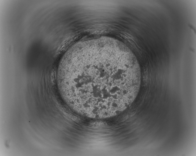 X0000102360503200808221719