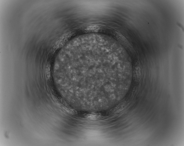 X0000102360504200808221719