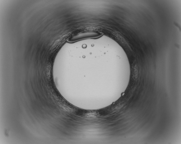 X0000102360505200808221719