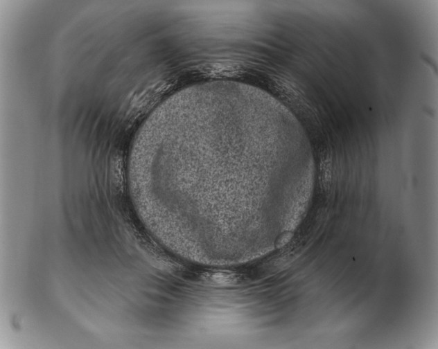 X0000102360506200808221719