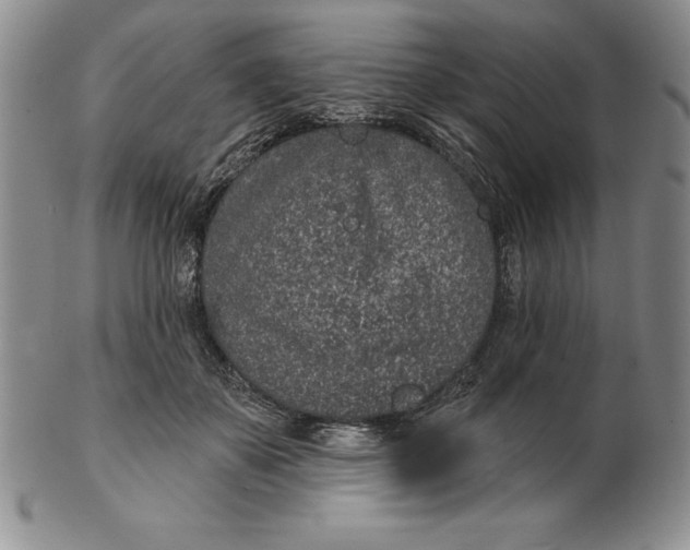 X0000102360507200808221719