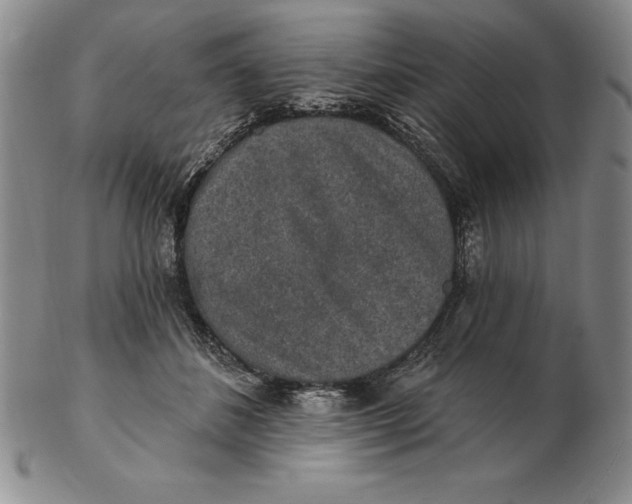 X0000102360508200808221719