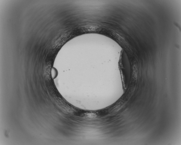 X0000102360509200808221719