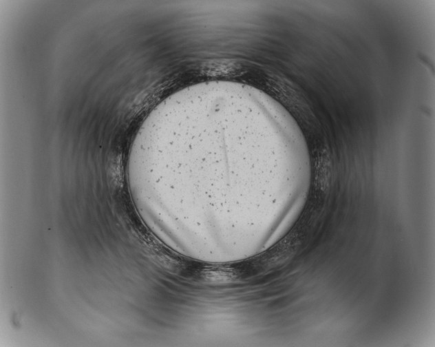 X0000102360510200808221719