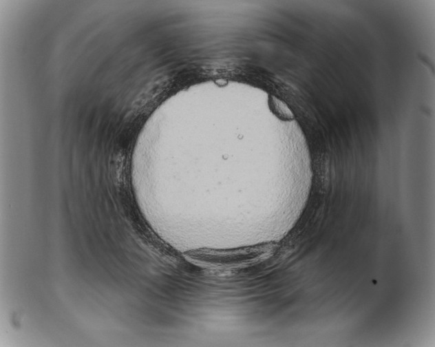 X0000102360511200808221719