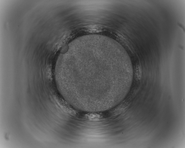 X0000102360512200808221719