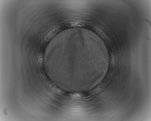 X0000102360513200808221719