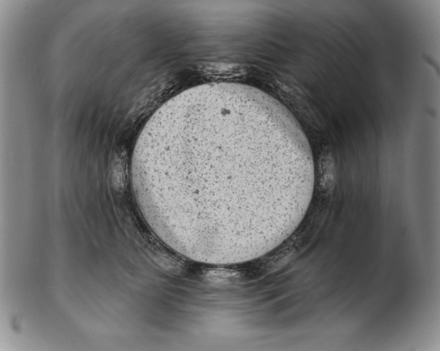 X0000102360515200808221719