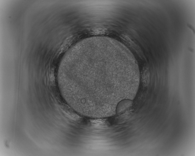 X0000102360516200808221719