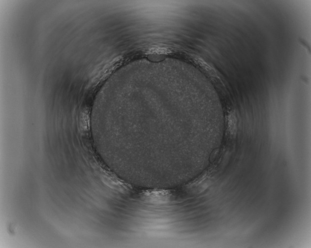 X0000102360517200808221719