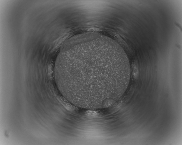 X0000102360519200808221719