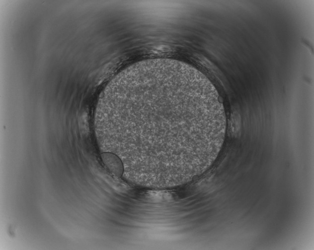 X0000102360520200808221719