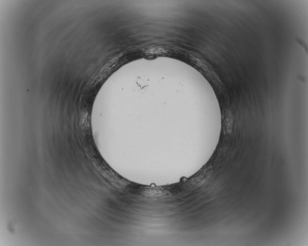 X0000102360521200808221719