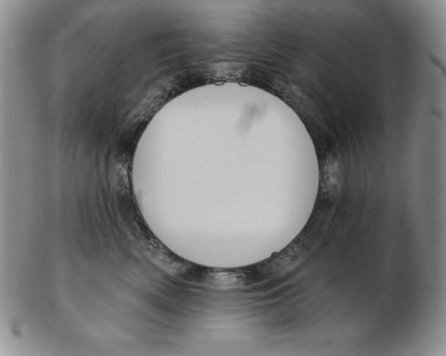 X0000102360522200808221719