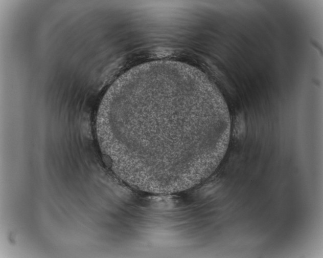 X0000102360524200808221719