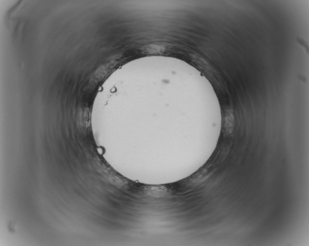 X0000102360525200808221719