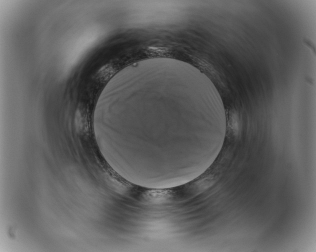 X0000102360526200808221719