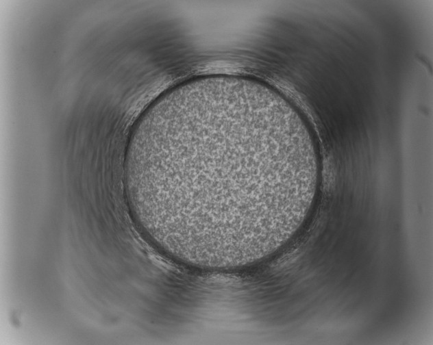 X0000102360529200808221718