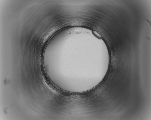 X0000102360530200808221718