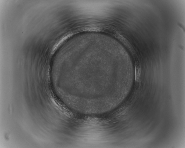 X0000102360531200808221718