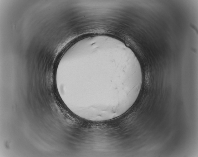 X0000102360532200808221718