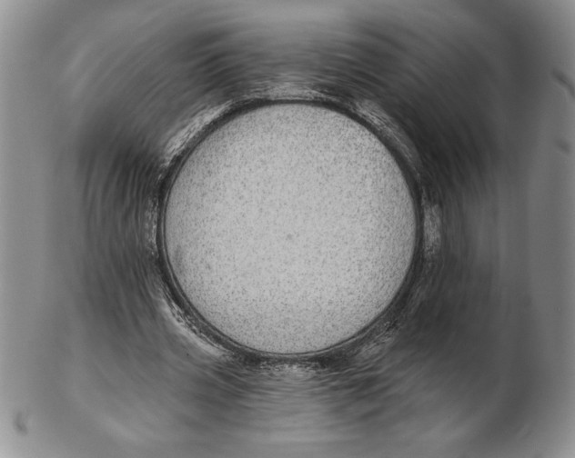 X0000102360533200808221718