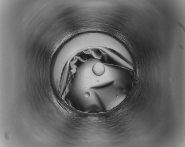 X0000102360534200808221718