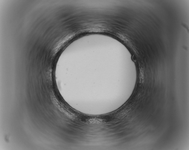 X0000102360535200808221718