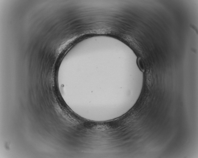 X0000102360536200808221718