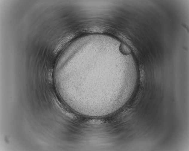 X0000102360537200808221718