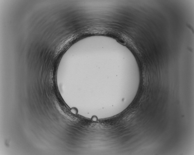 X0000102360538200808221718