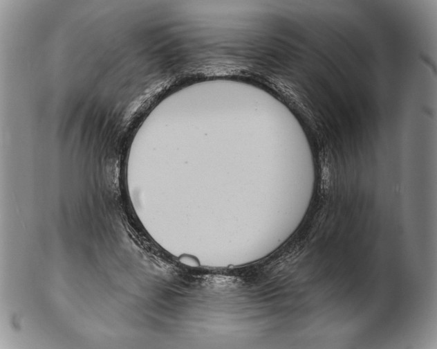 X0000102360539200808221718