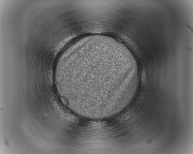 X0000102360540200808221718