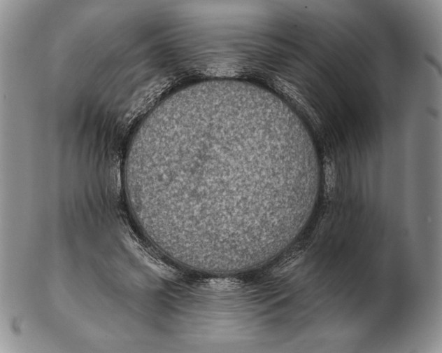 X0000102360541200808221718