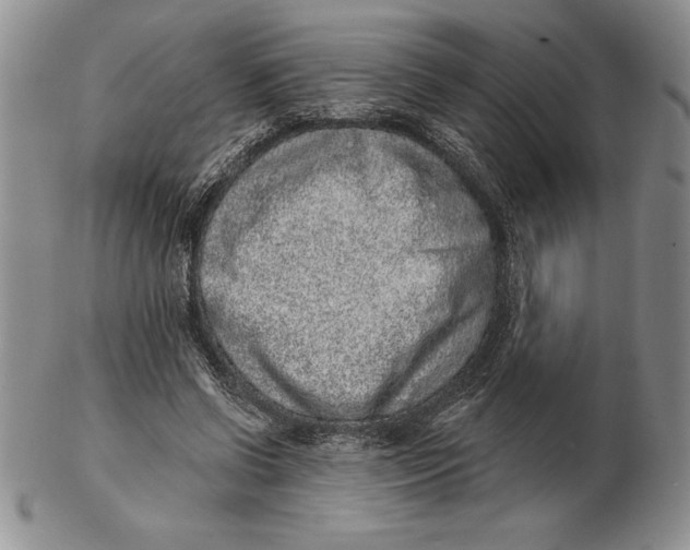 X0000102360542200808221718