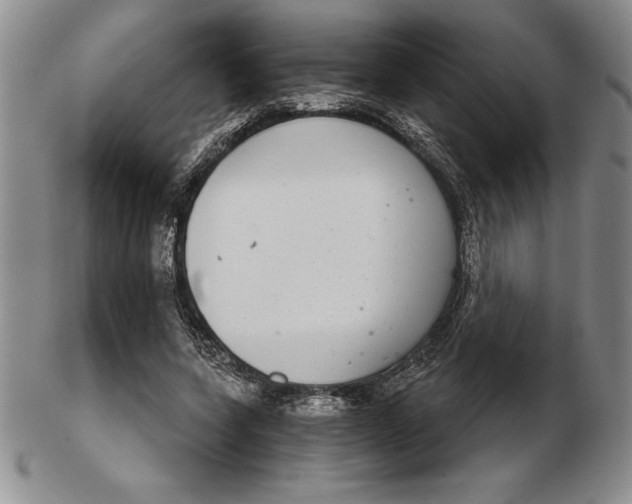 X0000102360543200808221718