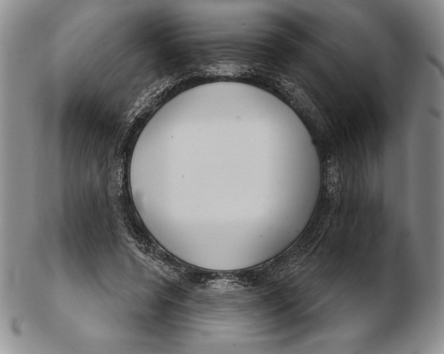 X0000102360544200808221718