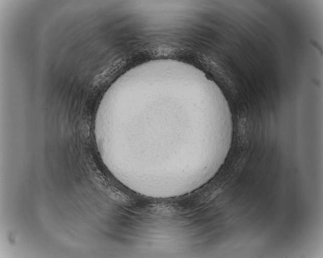 X0000102360545200808221718