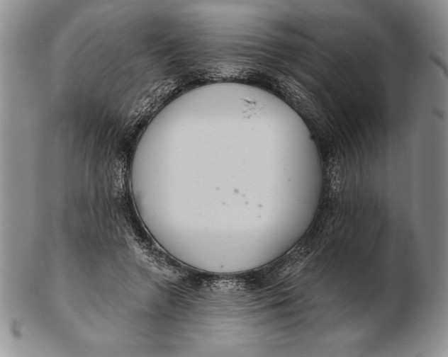 X0000102360546200808221718