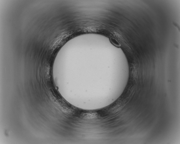 X0000102360548200808221718