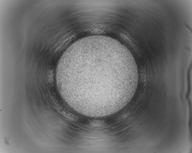 X0000102360549200808221718